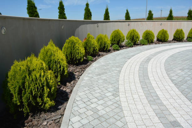 Best Decorative Driveway Pavers  in Kyle, TX